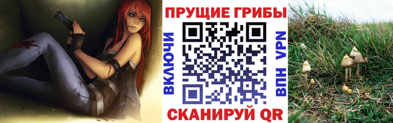 Галлюциногенные грибы GOLDEN TEACHER хочу наркоту Видное